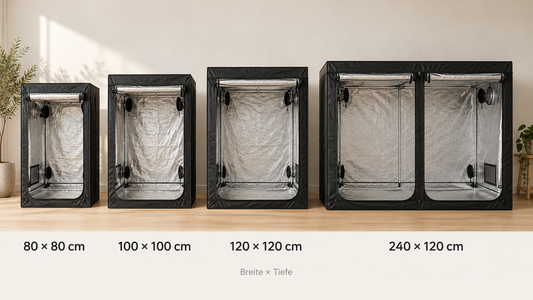 Welche Growbox-Größe passt? So vergleichst du Maße und Platzbedarf