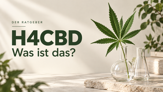 H4CBD – was ist das? Der Ratgeber