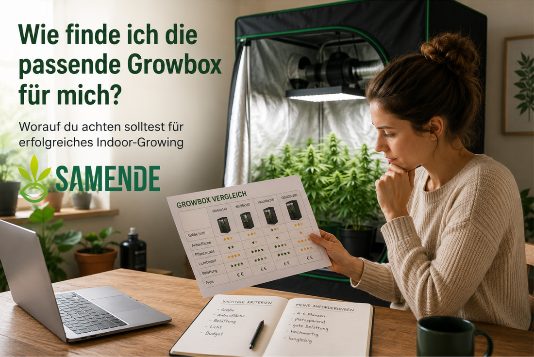 Wie finde ich die passende Growbox für mich?