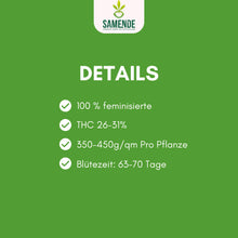 Cookies - Ultra Genetics - Feminized Cannabis Seeds
