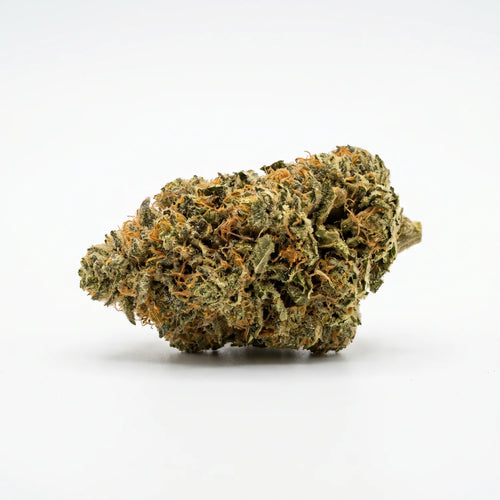 CBD Blüten 15% CBD OG Kush – 5g