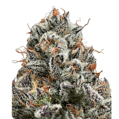 Barney's Farm - 3 seeds packs