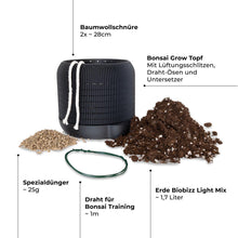 CannaBonsai Growing Kit - Komplettset Schwarz / Pineapple Express