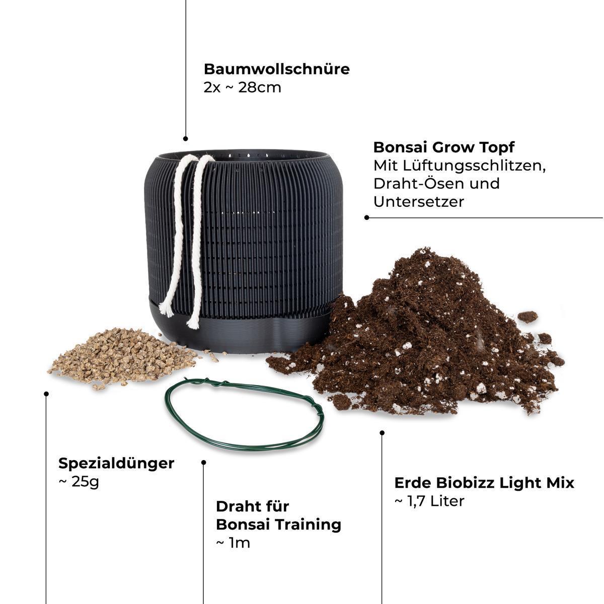 CannaBonsai Growing Kit - Komplettset Schwarz / ohne Samen
