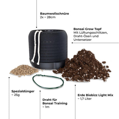 CannaBonsai Growing Kit - Komplettset Schwarz / ohne Samen
