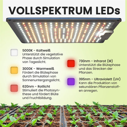 GrowHi - Growbox Set