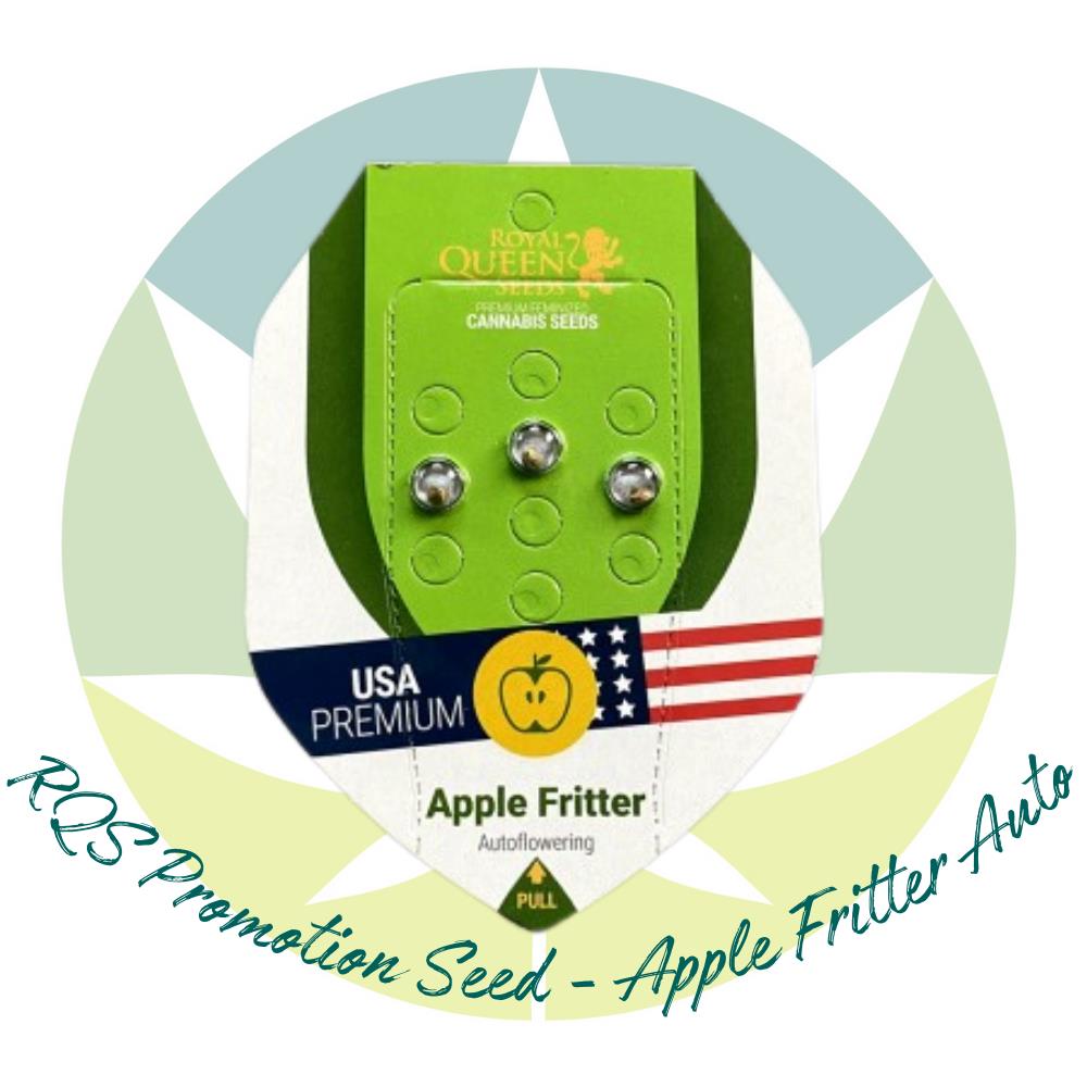 Royal Queen Promotion Seed -