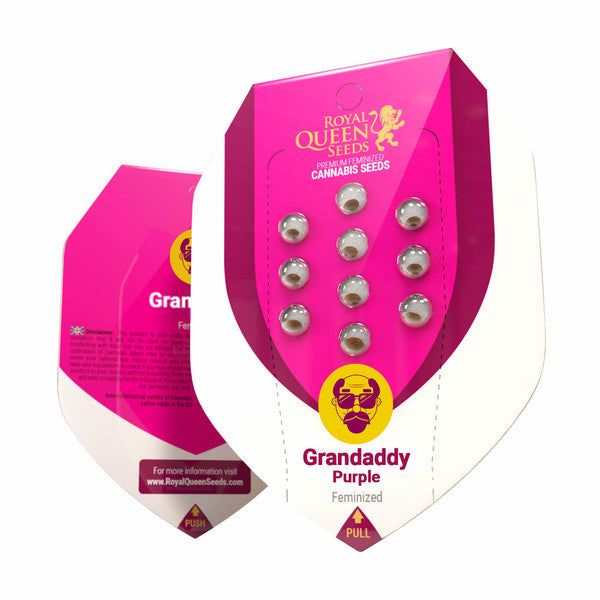 Royal Queen Seeds Granddaddy Purple 3 Samen