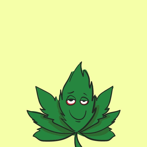 Cannabis Pflanze Creative