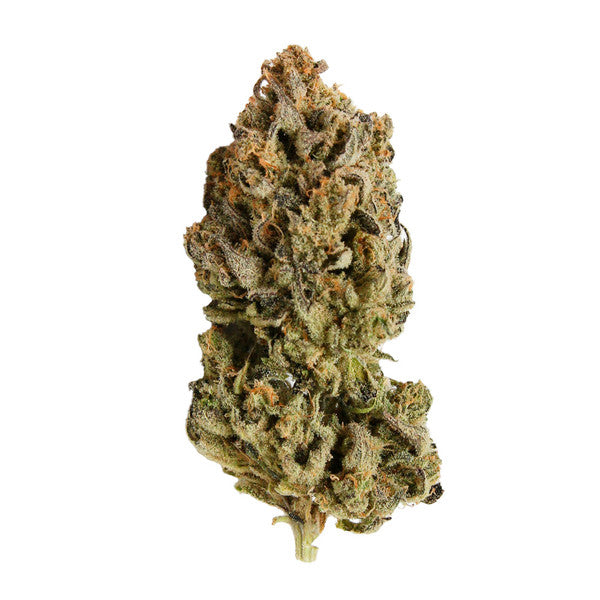 Royal Queen Seeds Samen CBD Royal Highness feminisiert (1 Samen)