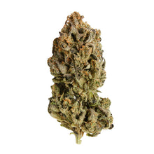 Royal Queen Seeds Samen CBD Royal Highness feminisiert (1 Samen)